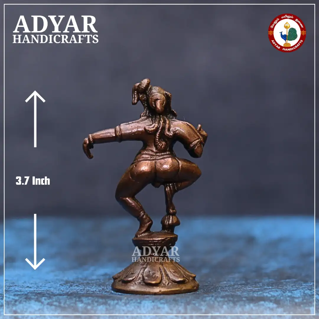 Navaneetha Krishnan - image 2