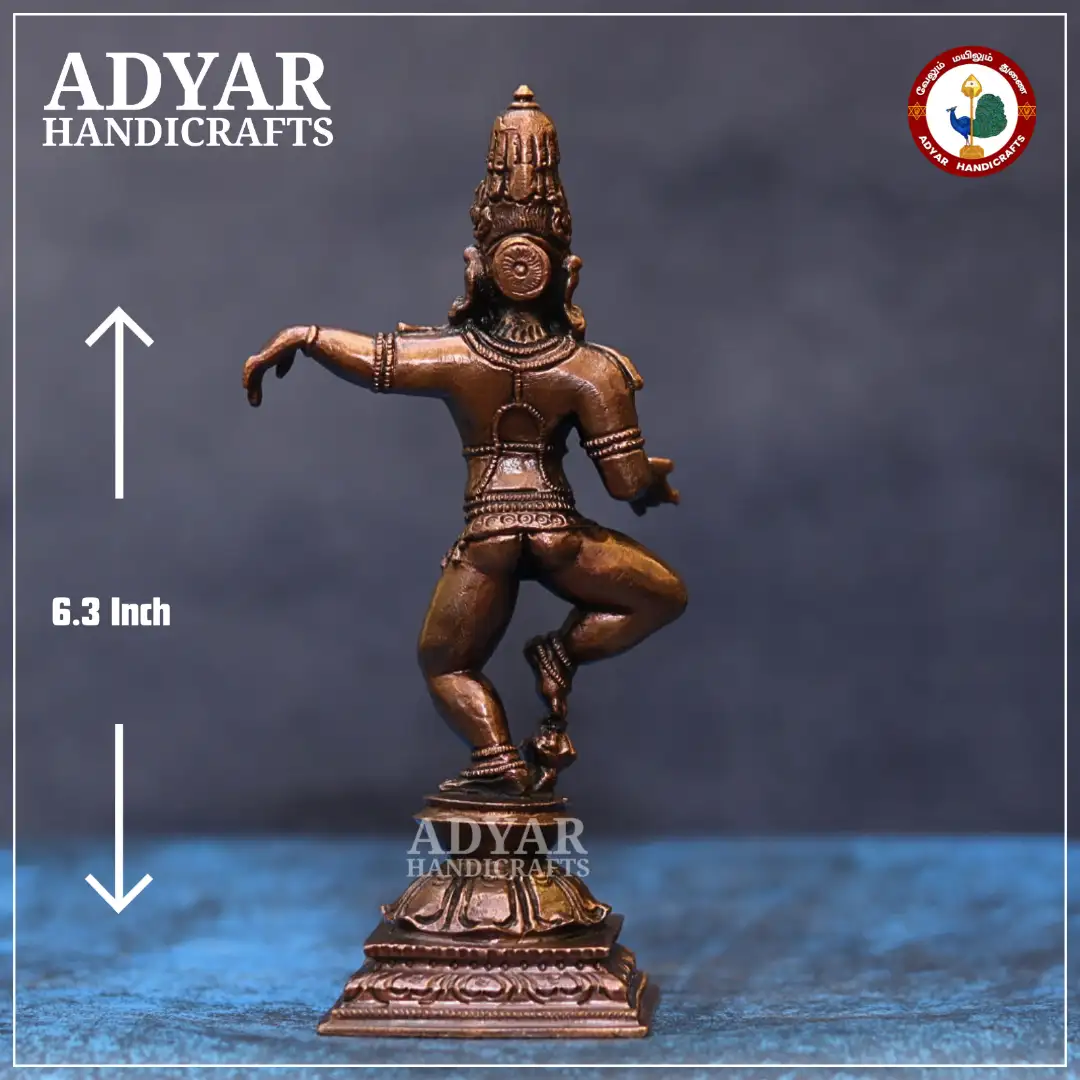 Navanitha Krishnan - image 2