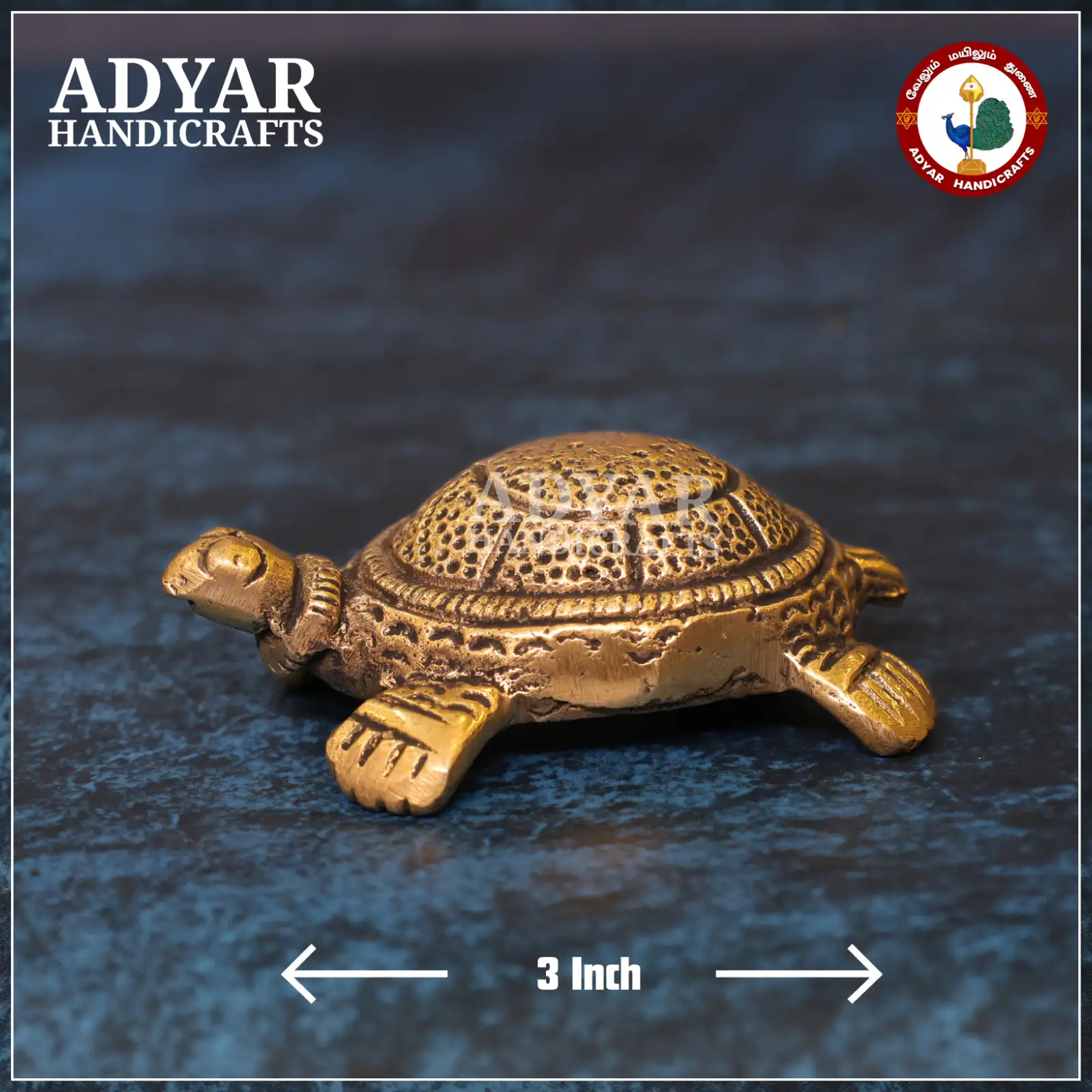 Tortoise - image 1