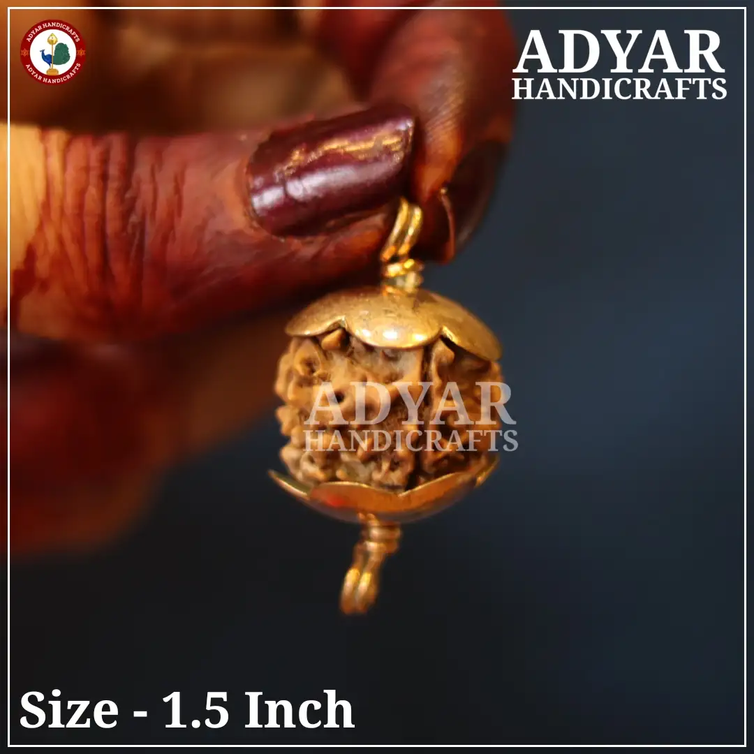 5 Face Rudraksham With Panchalogam Capping - image 1