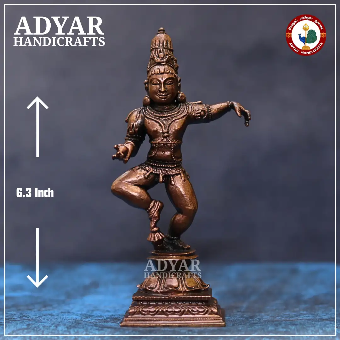 Navanitha Krishnan - image 1